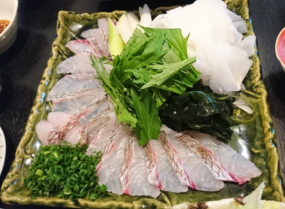 魚のゆりかご・宿毛湾