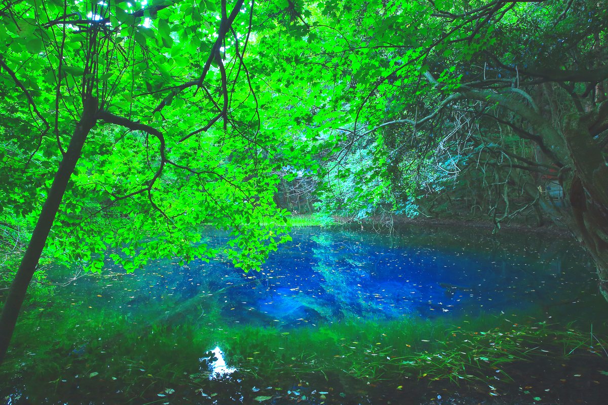 一生に一度は見たい 神秘の池「丸池様」
