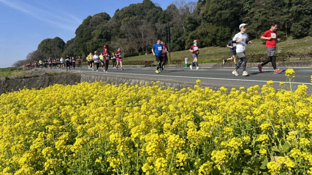 日本のはじまりの地でスタート 飛鳥ハーフマラソン　　　🔶令和６年３月１０日開催